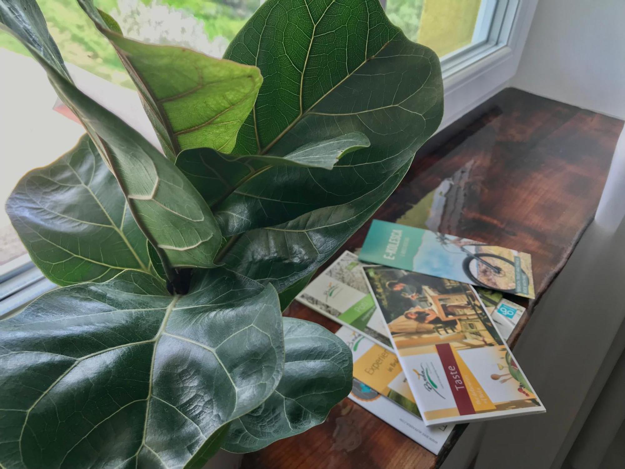 KojskoLa Cubanita住宿加早餐旅馆 外观 照片